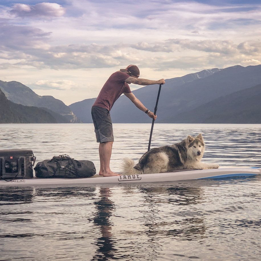 man and dog on paddleboard going along the lake