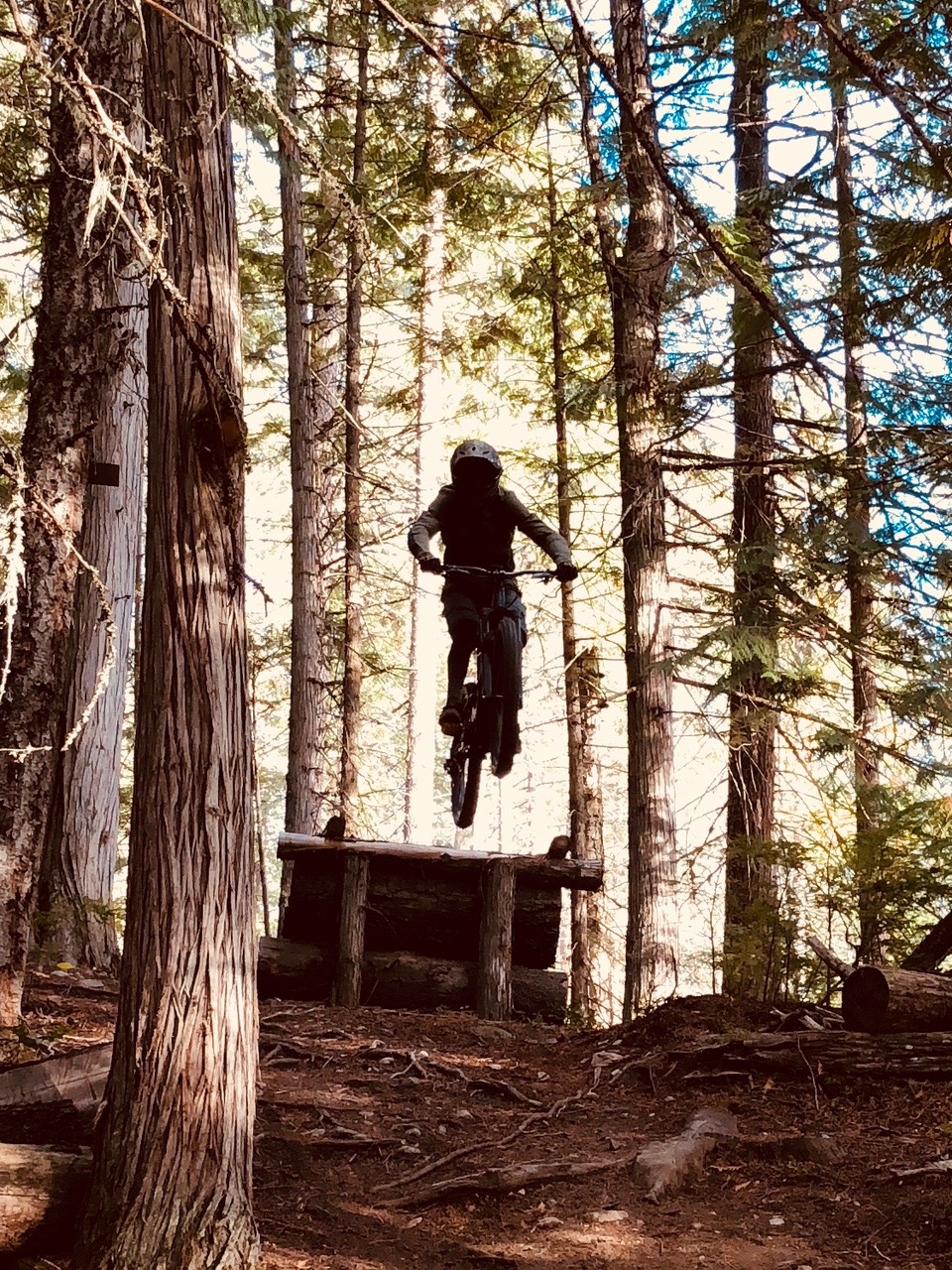 mountain biker airs off wooden jump amongst woodland