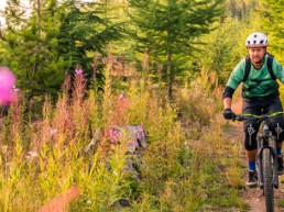 Man mountain biking through wildflowers