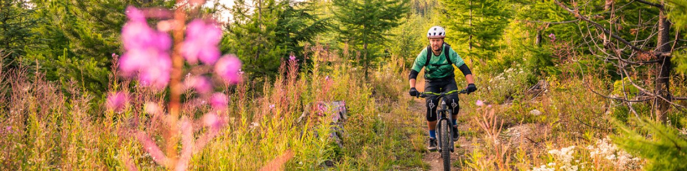 Man mountain biking through wildflowers
