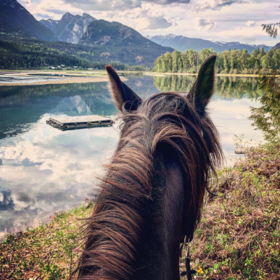 Neck of a horse with mountain lake scenery