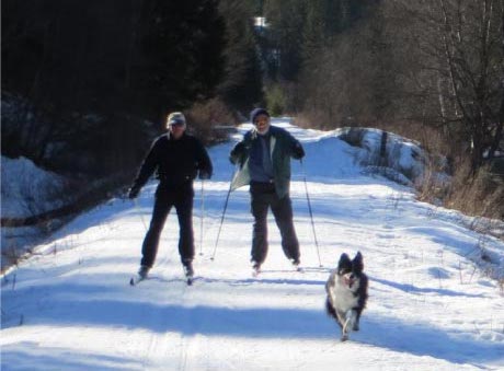 two people cross-country skiing with dog by a lake